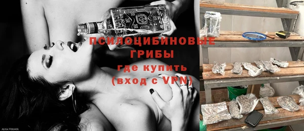 ГАЛЛЮЦИНОГЕННЫЕ ГРИБЫ Беломорск