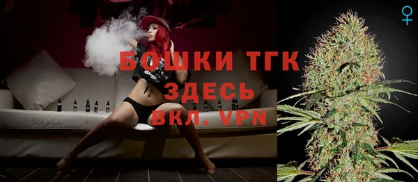 твердый Богданович