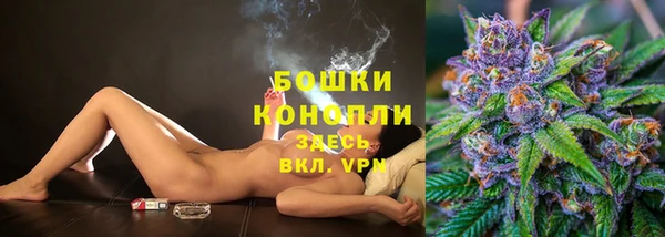 твердый Богданович