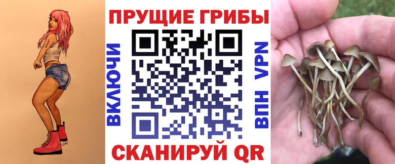 Галлюциногенные грибы мицелий  MEGA сайт  Карпинск 